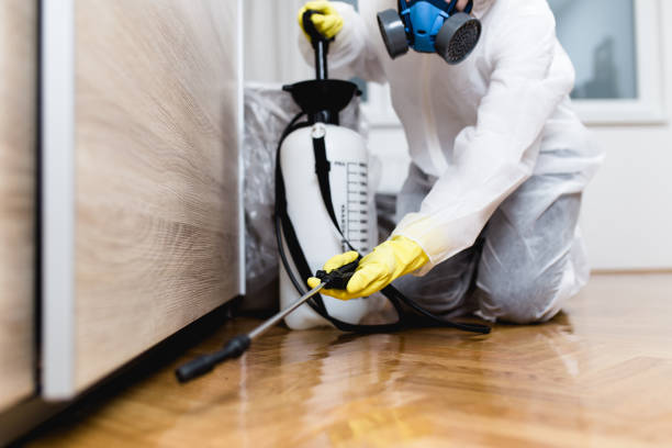 Best Termite Control Services  in Fredericktown, MO
