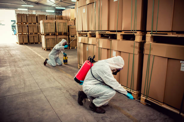 Best Flea Control Services  in Fredericktown, MO