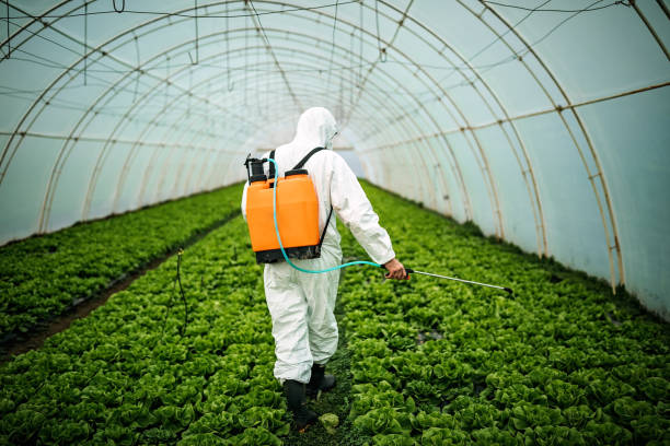 Best Affordable Pest Control Services  in Fredericktown, MO
