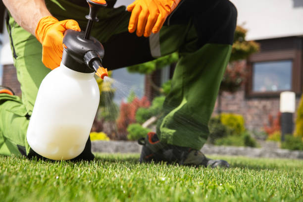 Best Wasp Removal Services  in Fredericktown, MO