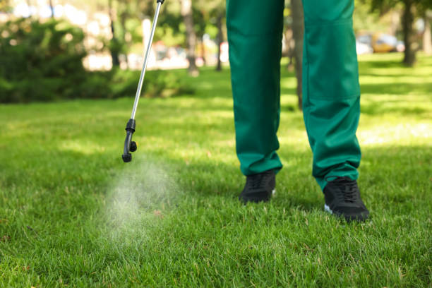 Best Termite Control Services  in Fredericktown, MO