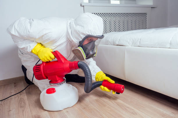 Best Bed Bug Extermination  in Fredericktown, MO