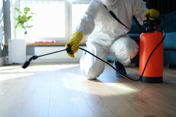 Best Cockroach Control Services  in Fredericktown, MO