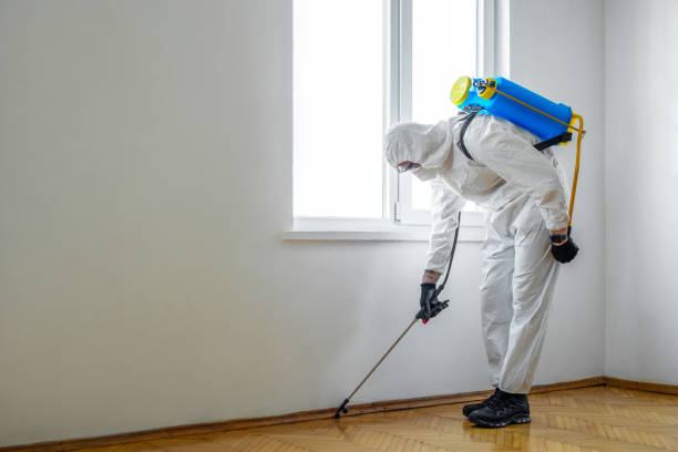 Best Pest Inspection Near Me  in Fredericktown, MO
