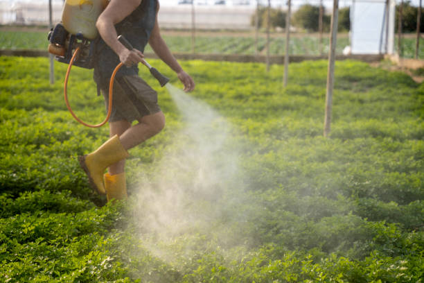 Pest Control for Restaurants in Fredericktown, MO