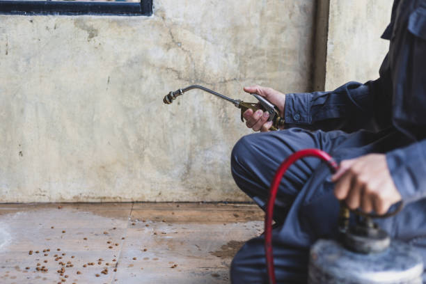 Best Commercial Pest Control Services  in Fredericktown, MO
