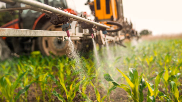 Best Ant Control Services  in Fredericktown, MO