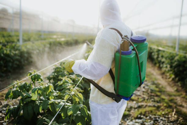 Reliable Fredericktown, MO Pest Control Solutions